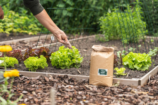 Een analyse van je moestuinbodem