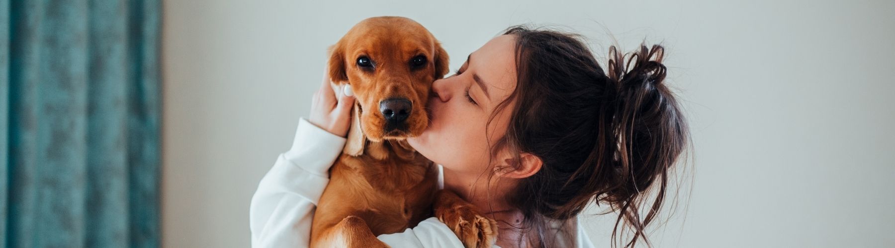Honden liefde