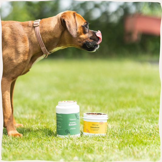 Veendrenk groenten bokashi hond boxer